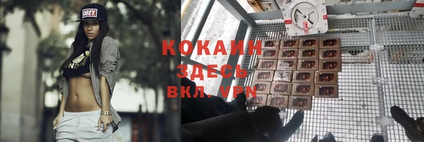 амф Аркадак