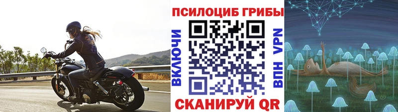 дарнет шоп  мега как зайти  Галлюциногенные грибы ЛСД  Лагань 